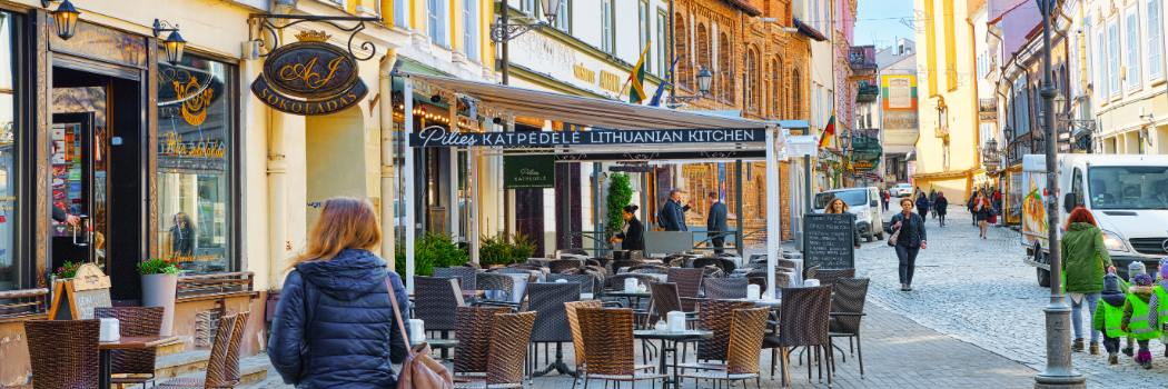Serwis Litvanya, yükseköğretim: üniversiteler, lisans, yüksek lisans, doktora -  v.TR (Lithuania)